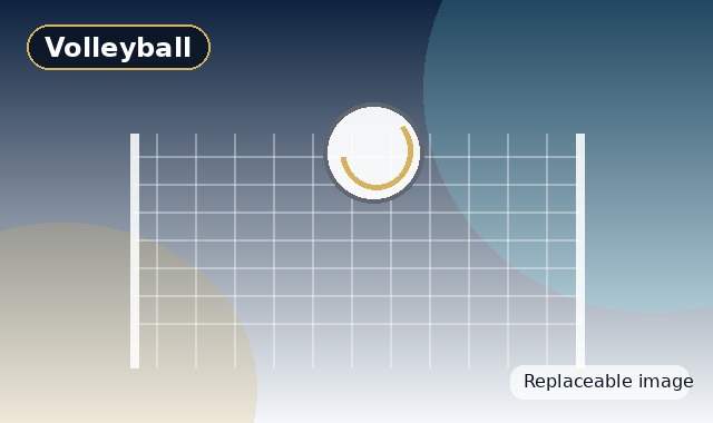 Volleyball small replaceable image